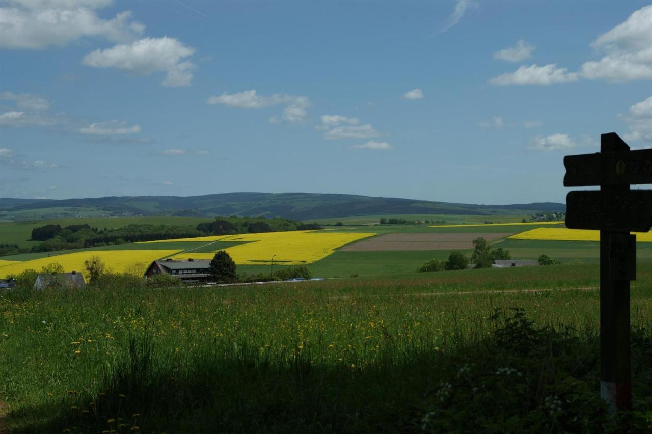 Klein'S Hochwaldscheune Pellingen Екстериор снимка